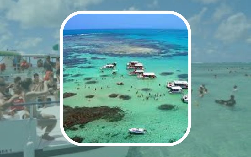 En este momento estás viendo Maragogi: Descubre el Caribe Brasileño en 10 Razones Imperdibles