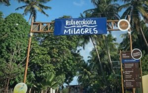 Lee más sobre el artículo Guía Definitiva de la Ruta Ecológica dos Milagres: El Secreto del Caribe Brasileño