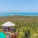 Guía Definitiva del Litoral Sur de Alagoas: Un Road Trip Inolvidable de Francês a Penedo