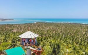 Lee más sobre el artículo Guía Definitiva del Litoral Sur de Alagoas: Un Road Trip Inolvidable de Francês a Penedo