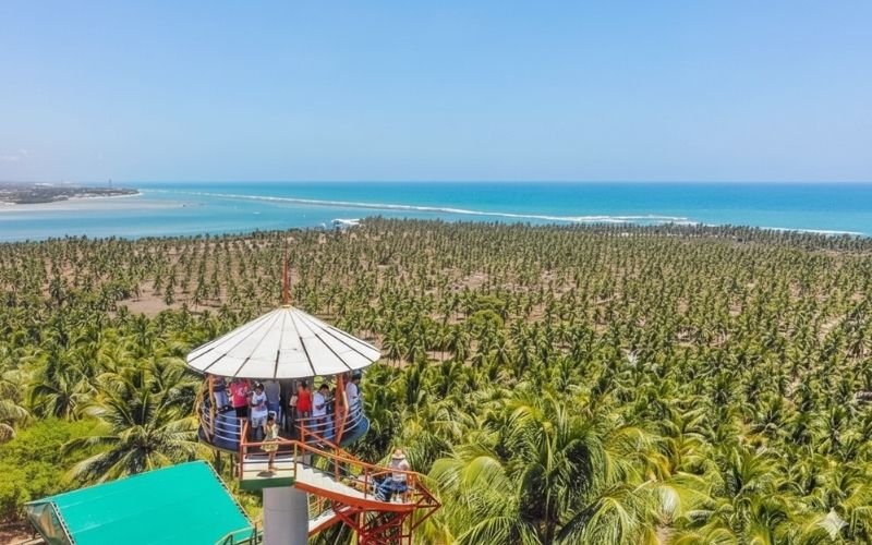 "Vista desde el Mirante do Gunga en el Litoral Sur de Alagoas